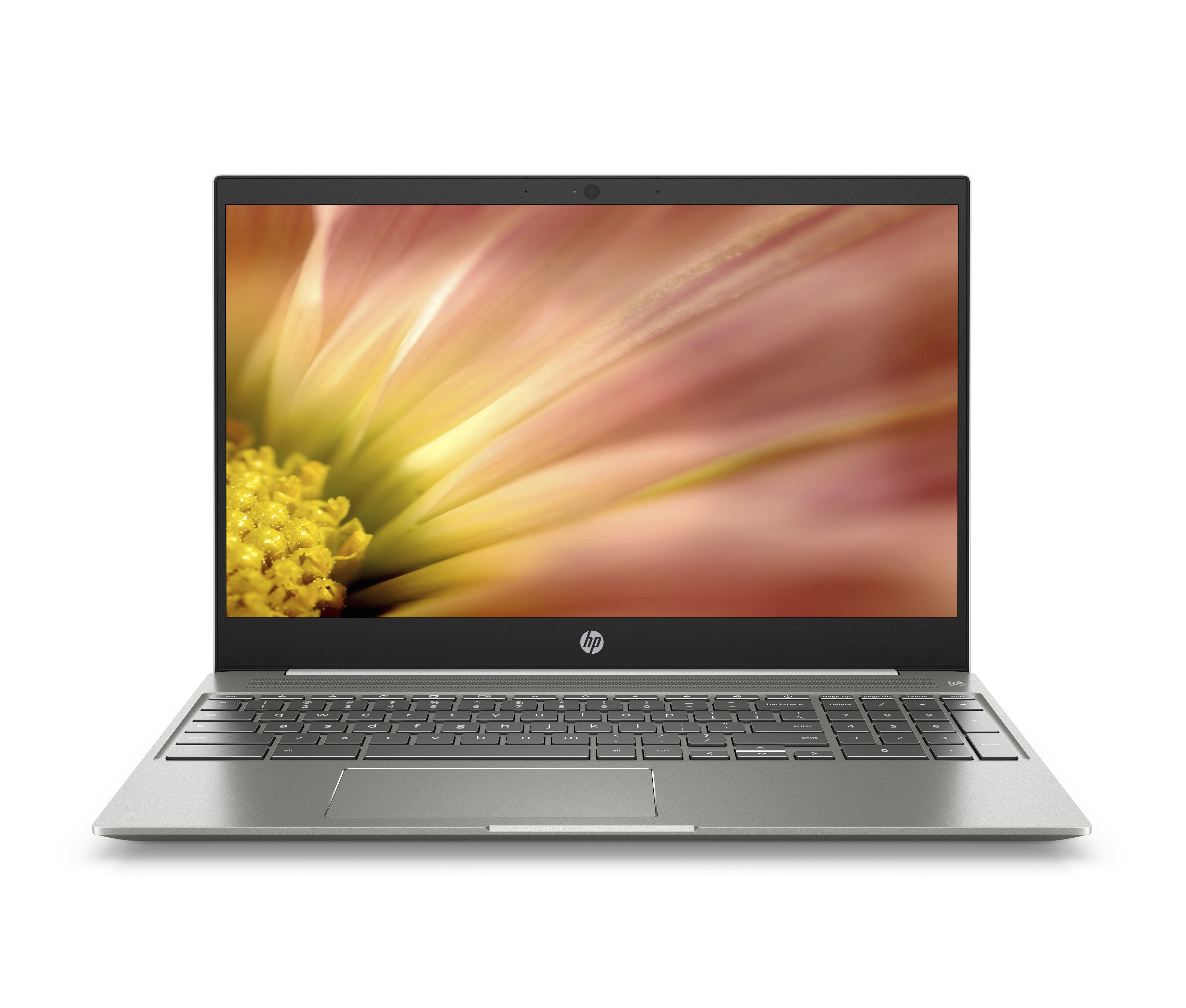 HP Chromebook 15 now available for $449 with Intel Pentium and Core i CPU options – Notebookcheck.net