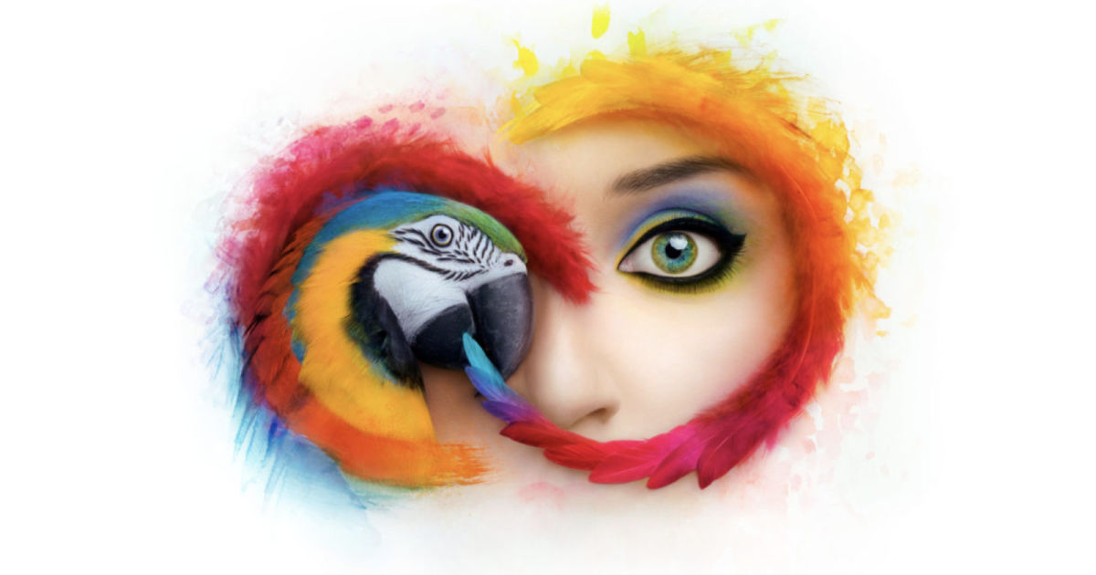Adobe warns Creative Cloud users with older apps of legal problems – Engadget